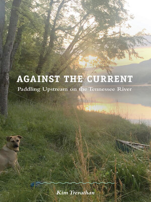 cover image of Against the Current